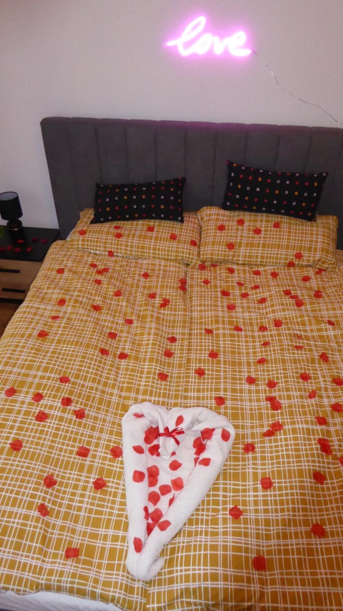 Apartament Love On 5 - Milosc Na 5 Legnica Dış mekan fotoğraf